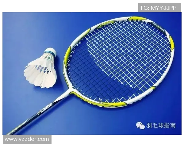 武汉羽毛球队灵活性分析：从战术到训练的全面探讨与实践